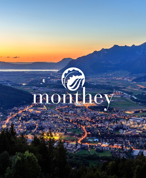Déménagement Monthey