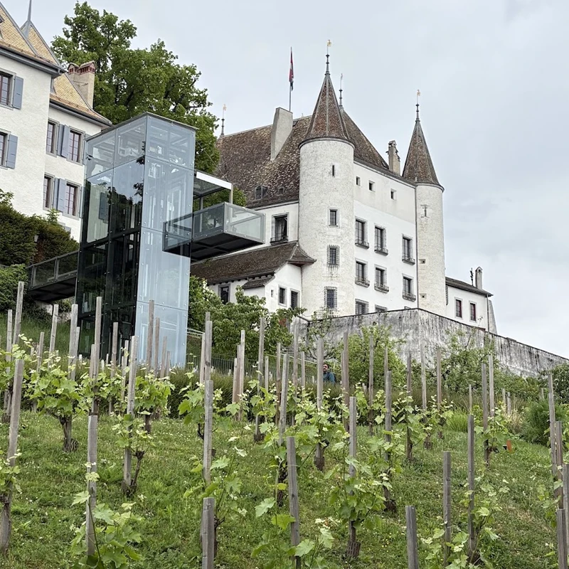 Nyon demenagement qualidem canton de vaud